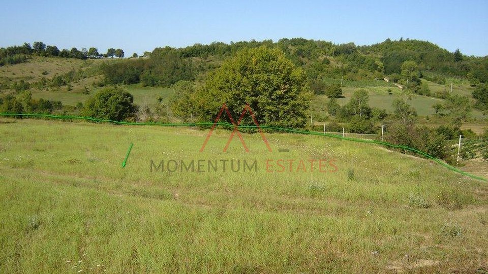 Land, 16637 m2, For Sale, Novaki Motovunski